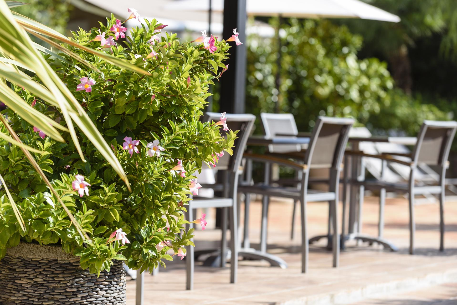 Domaine Du Calidianus Hotel Sainte-Maxime Ngoại thất bức ảnh